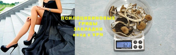 сатива Абдулино