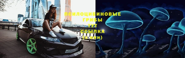 не бодяженный Алексин