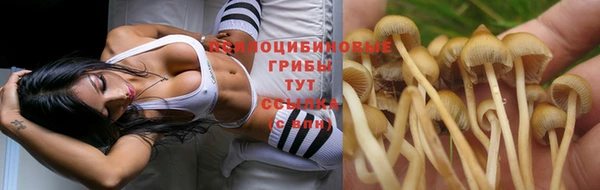 кристаллы Алзамай