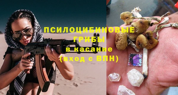 a pvp Абаза