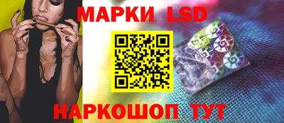 дмт Донской