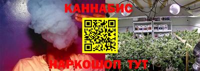 дмт Донской