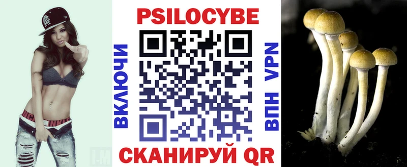 Псилоцибиновые грибы Psilocybine cubensis что такое наркотик Новоалтайск