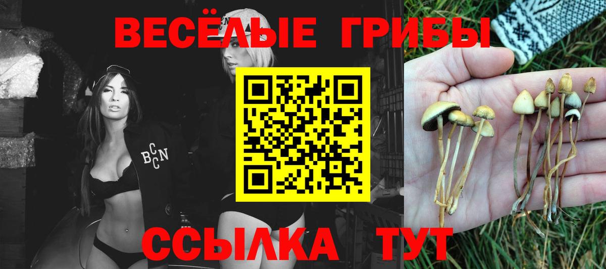 Галлюциногенные грибы Psilocybine cubensis  Вход с VPN  Псилоцибиновые грибы Magic Shrooms  Новоалтайск 