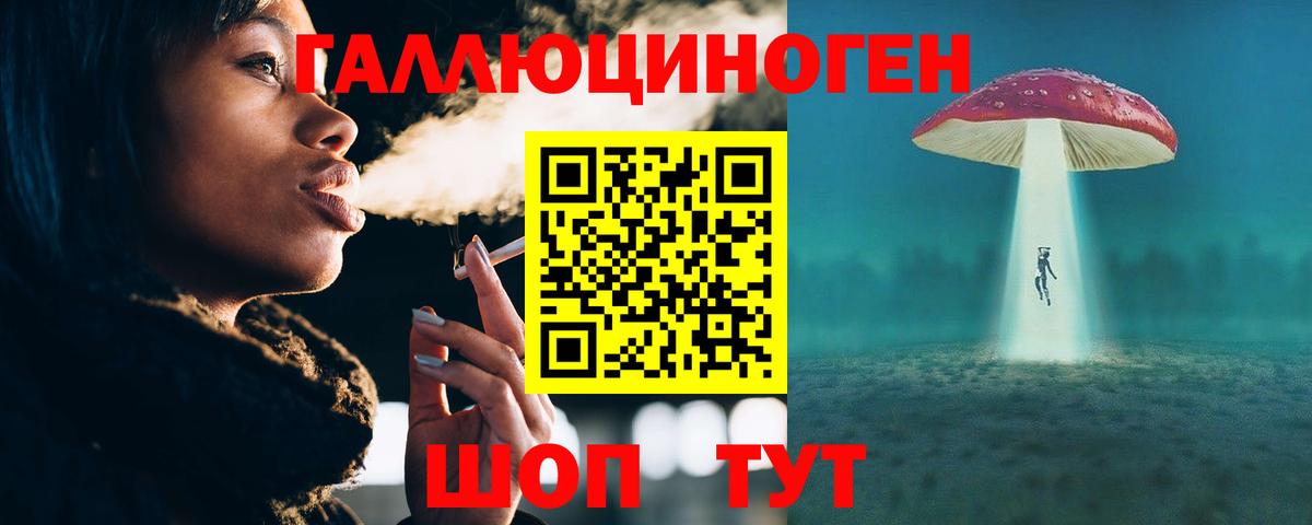 Галлюциногенные грибы Psilocybine cubensis Новоалтайск